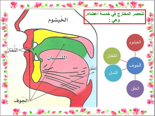 تشير-الصورة-إلى-المخارج-العامة-للحروف-وتمثل-علامة-الاستفهام-مخرج